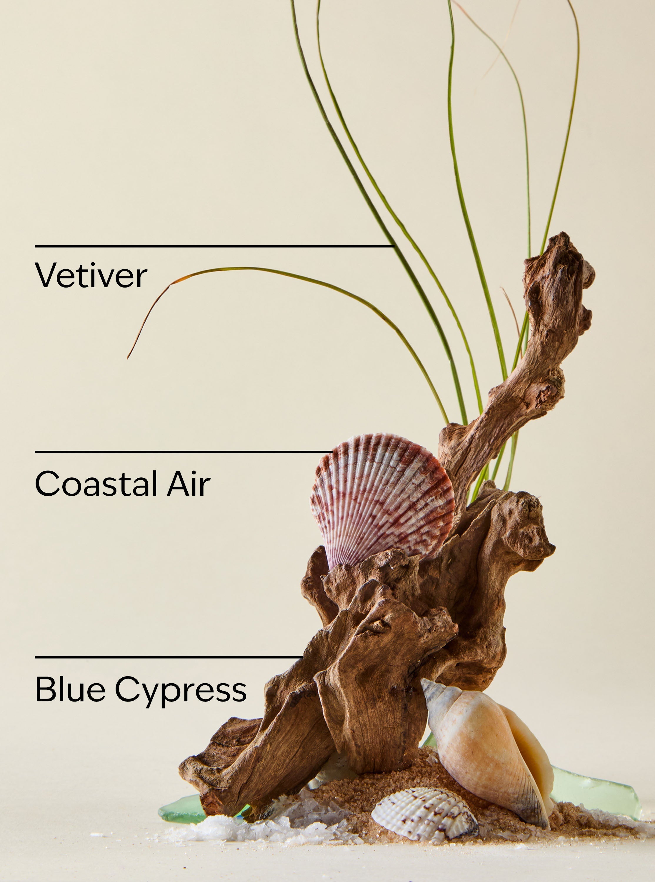 Ocean Car Fragrance Refill