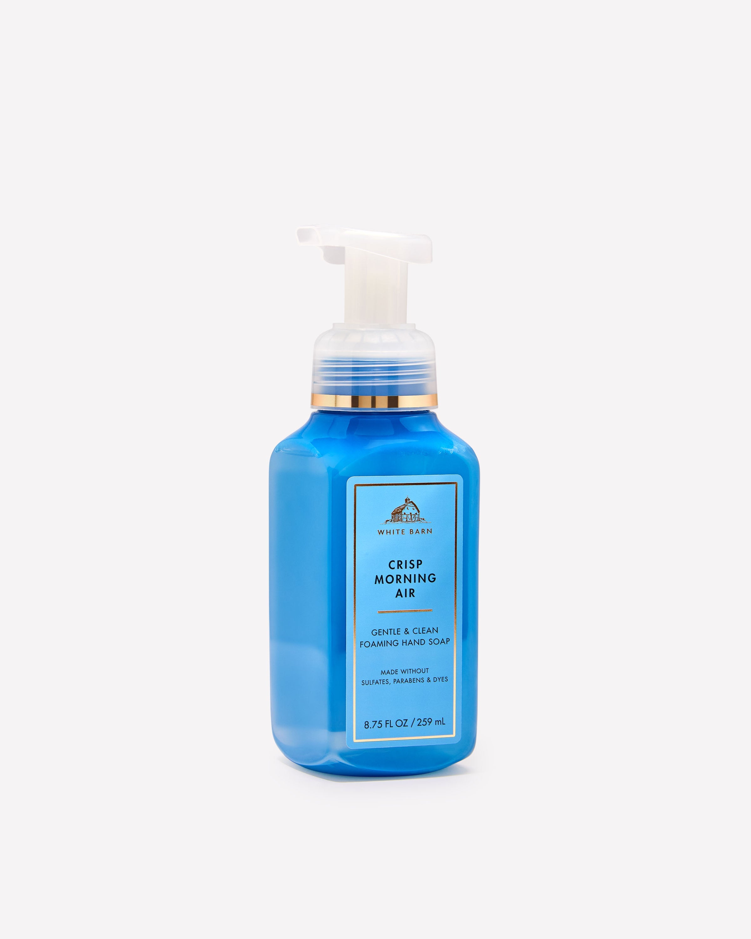 Crisp Morning Air Gentle & Clean Foaming Hand Soap