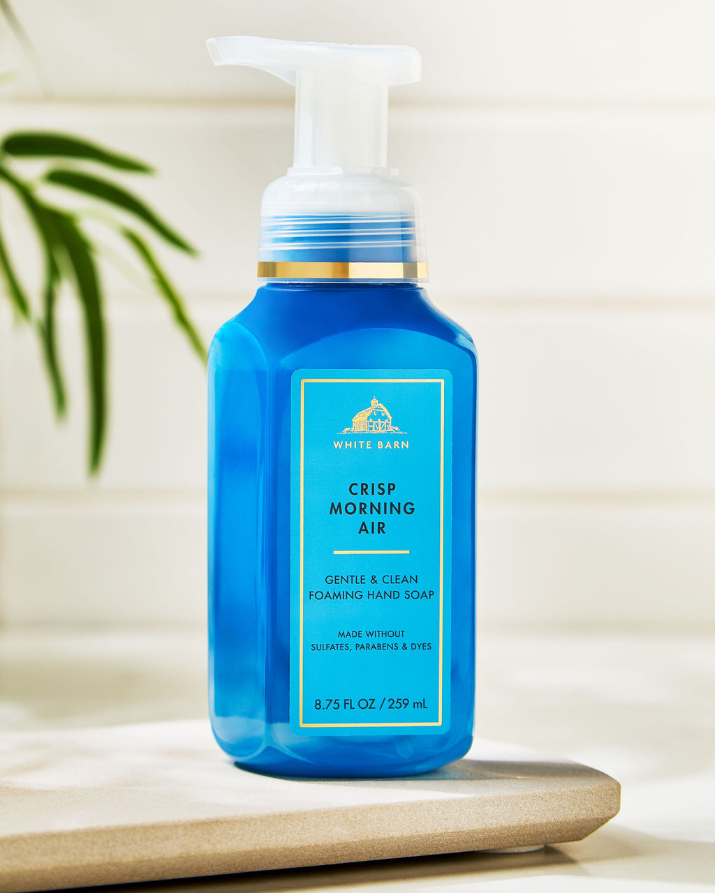 Crisp Morning Air Gentle & Clean Foaming Hand Soap