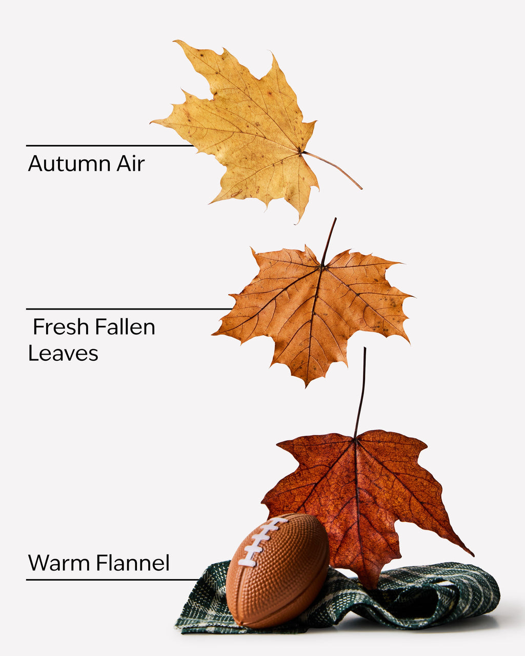 Football Season Wallflowers Fragrance Refill