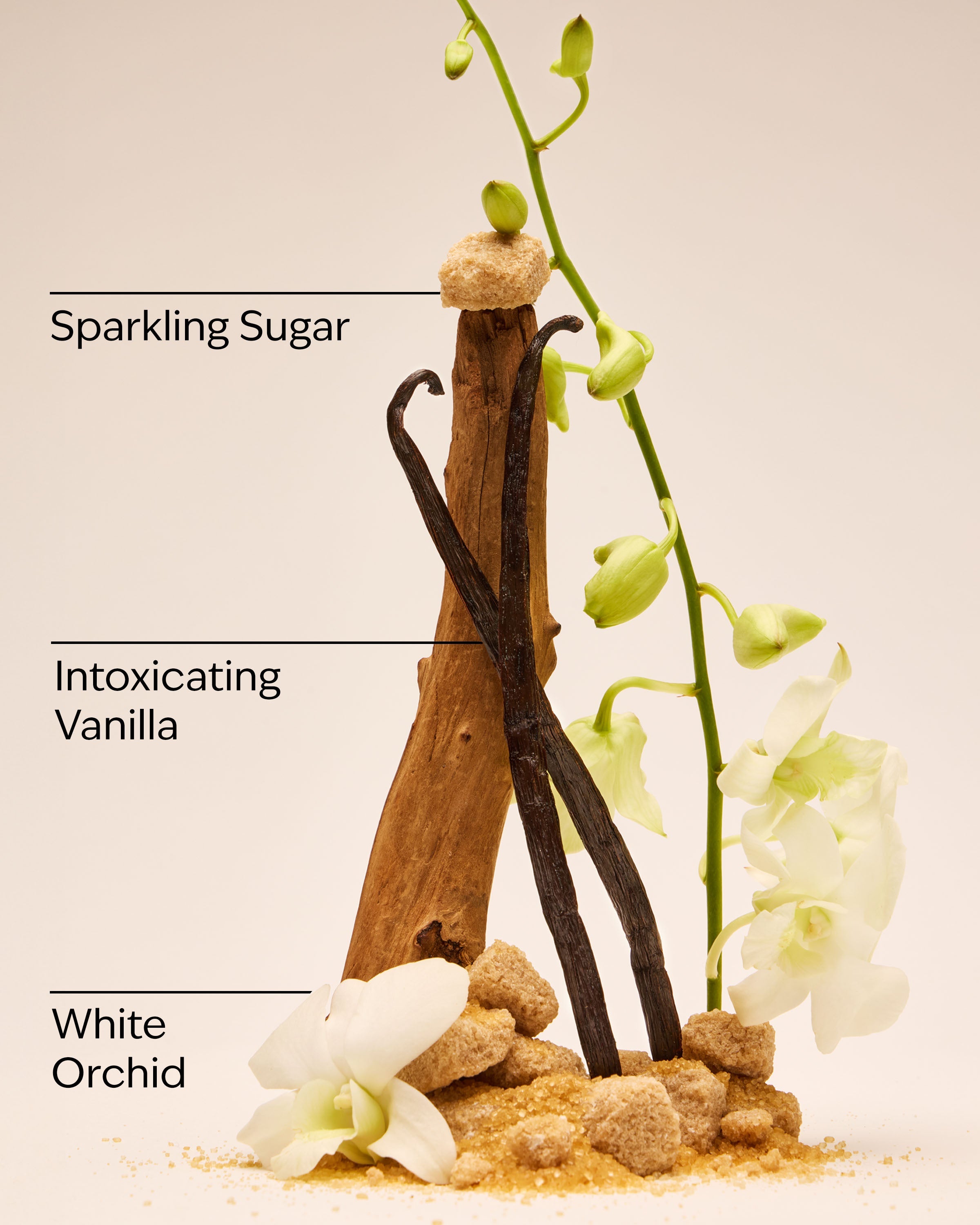 Warm Vanilla Sugar Hand Cream