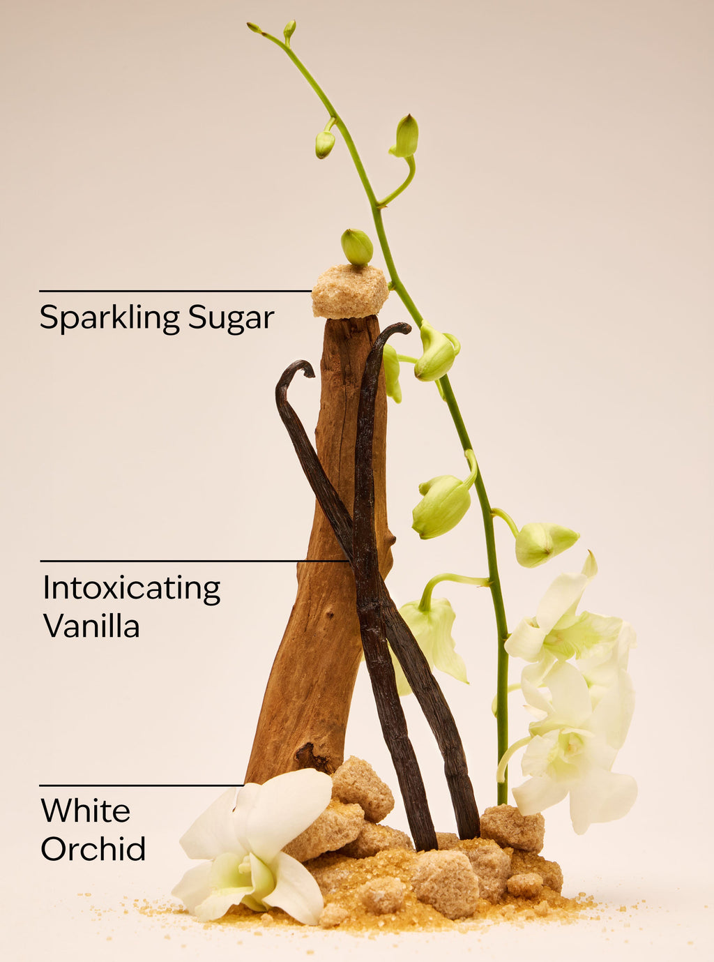 Warm Vanilla Sugar Ultimate Hydration Body Cream