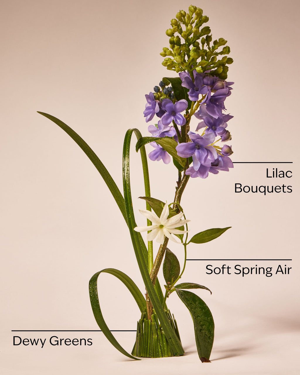 Fresh Cut Lilacs Wallflowers Fragrance Refill