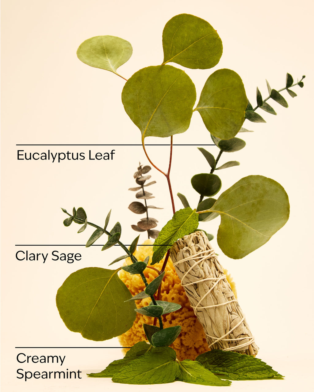 Eucalyptus Spearmint Shower Steamers