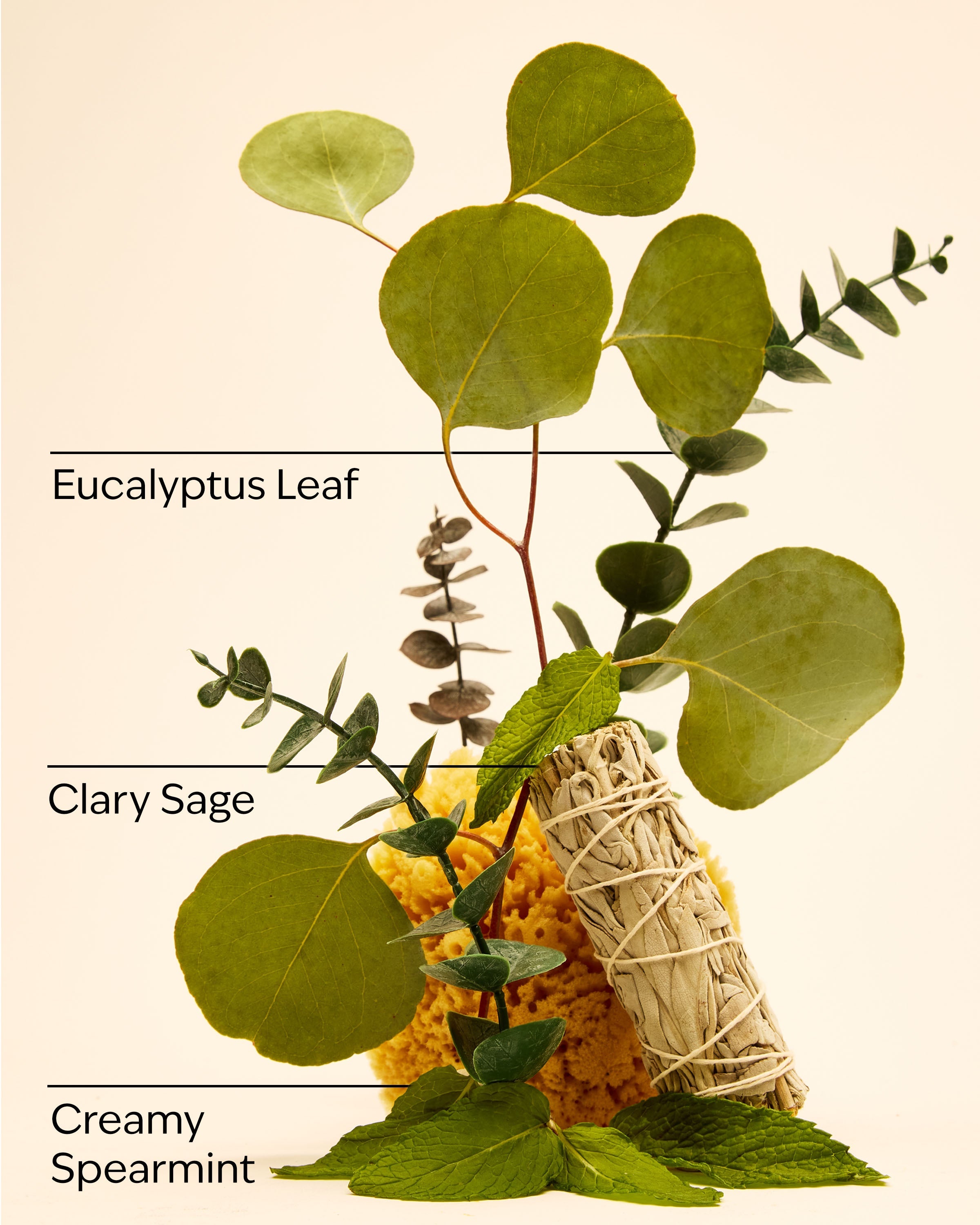 Eucalyptus Spearmint Shower Steamers