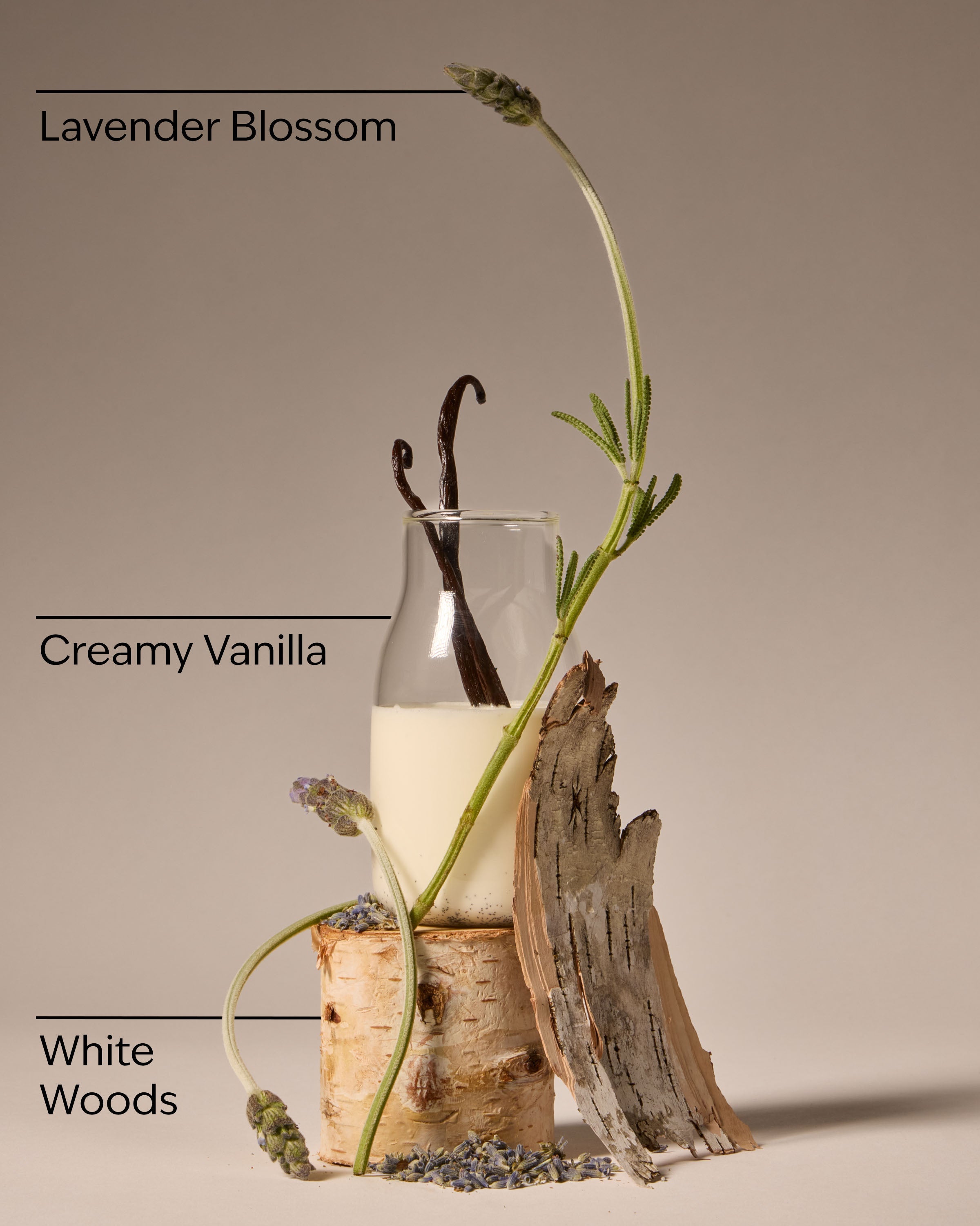 Lavender Vanilla Shower Steamers