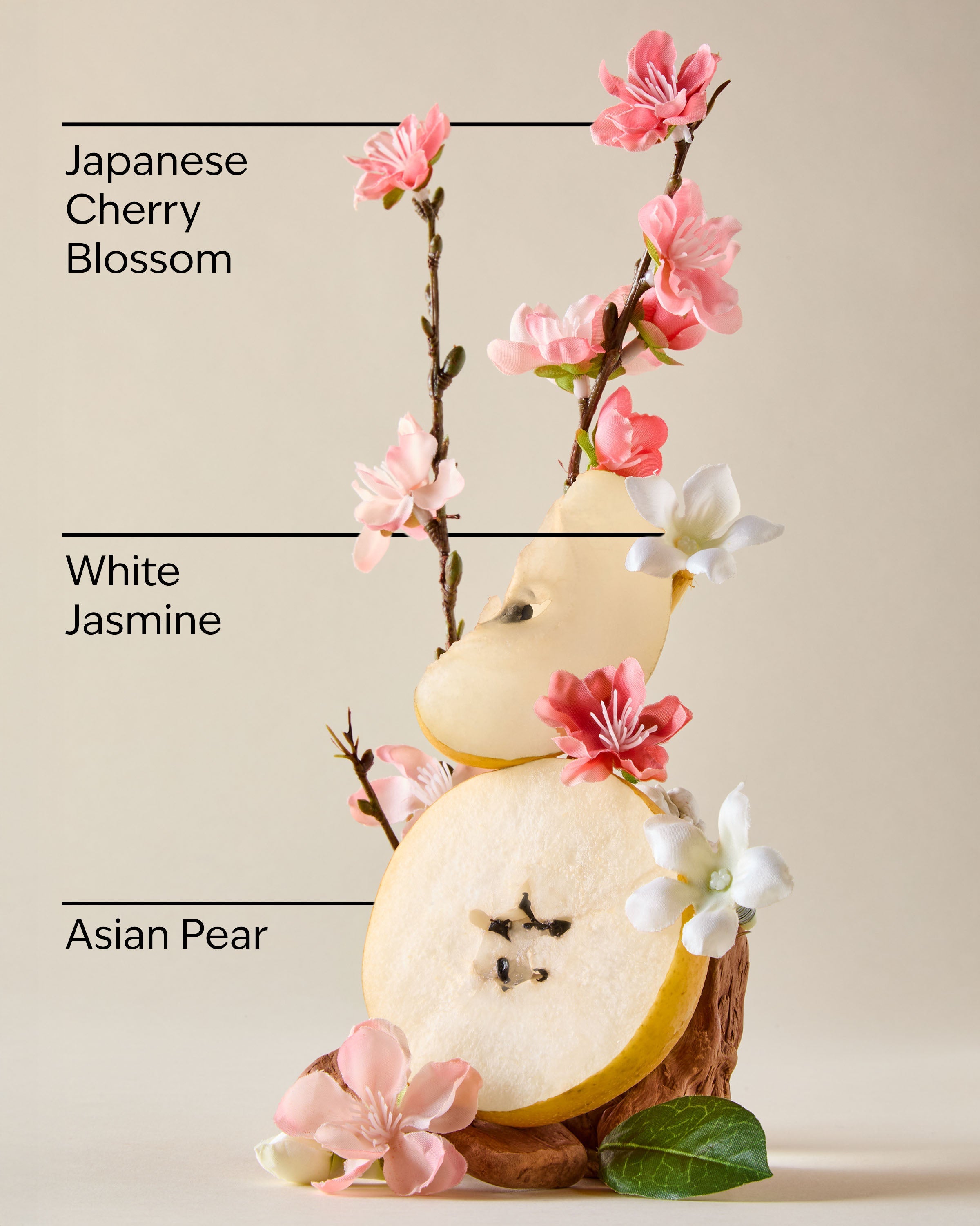 Japanese Cherry Blossom Moisturizing Body Wash