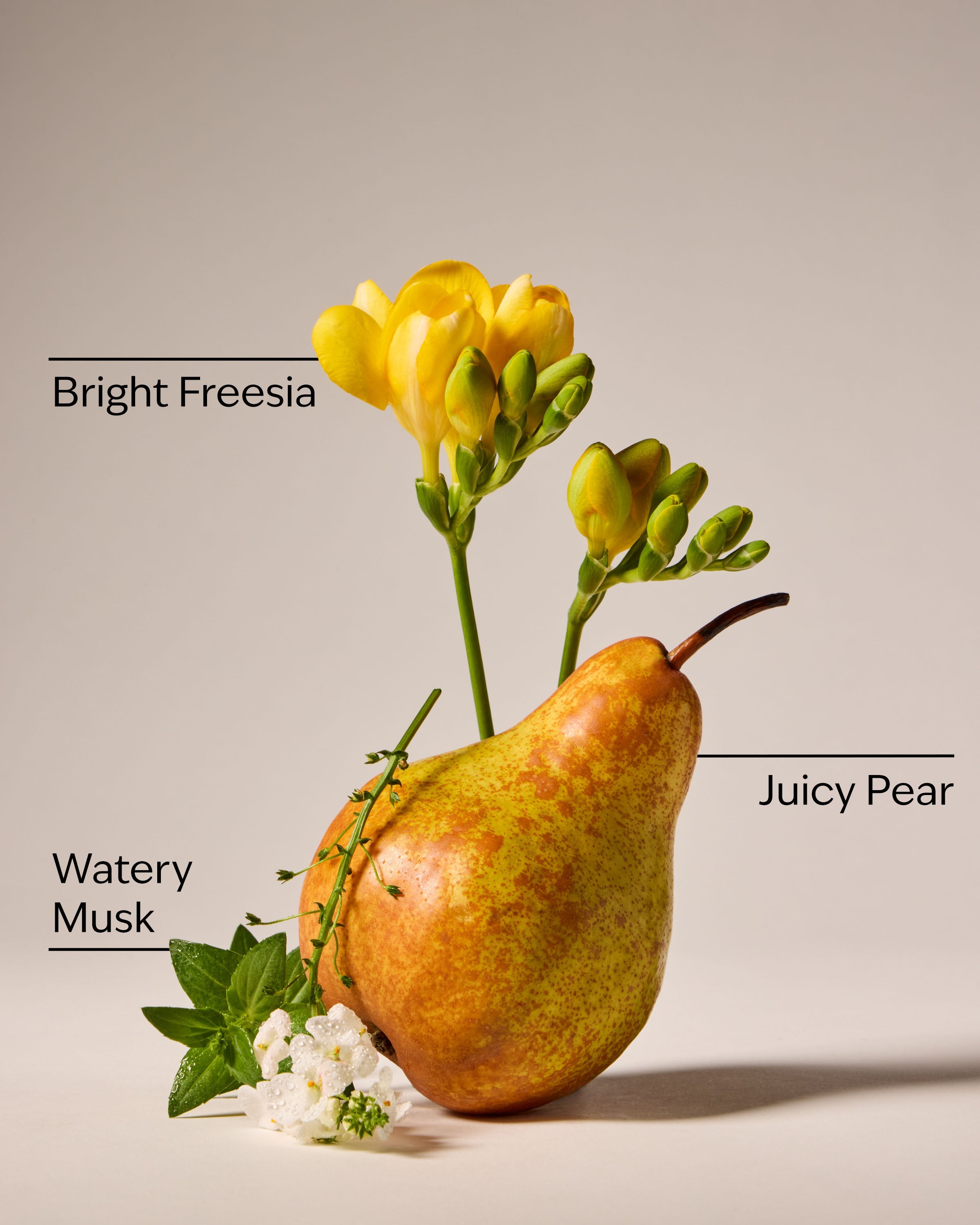 Crisp Pear Travel Size Fine Fragrance Mist