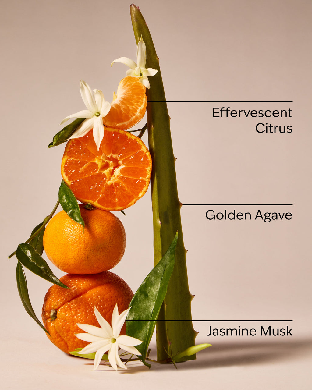 Sweet Orange & Agave Concentrated Room Spray