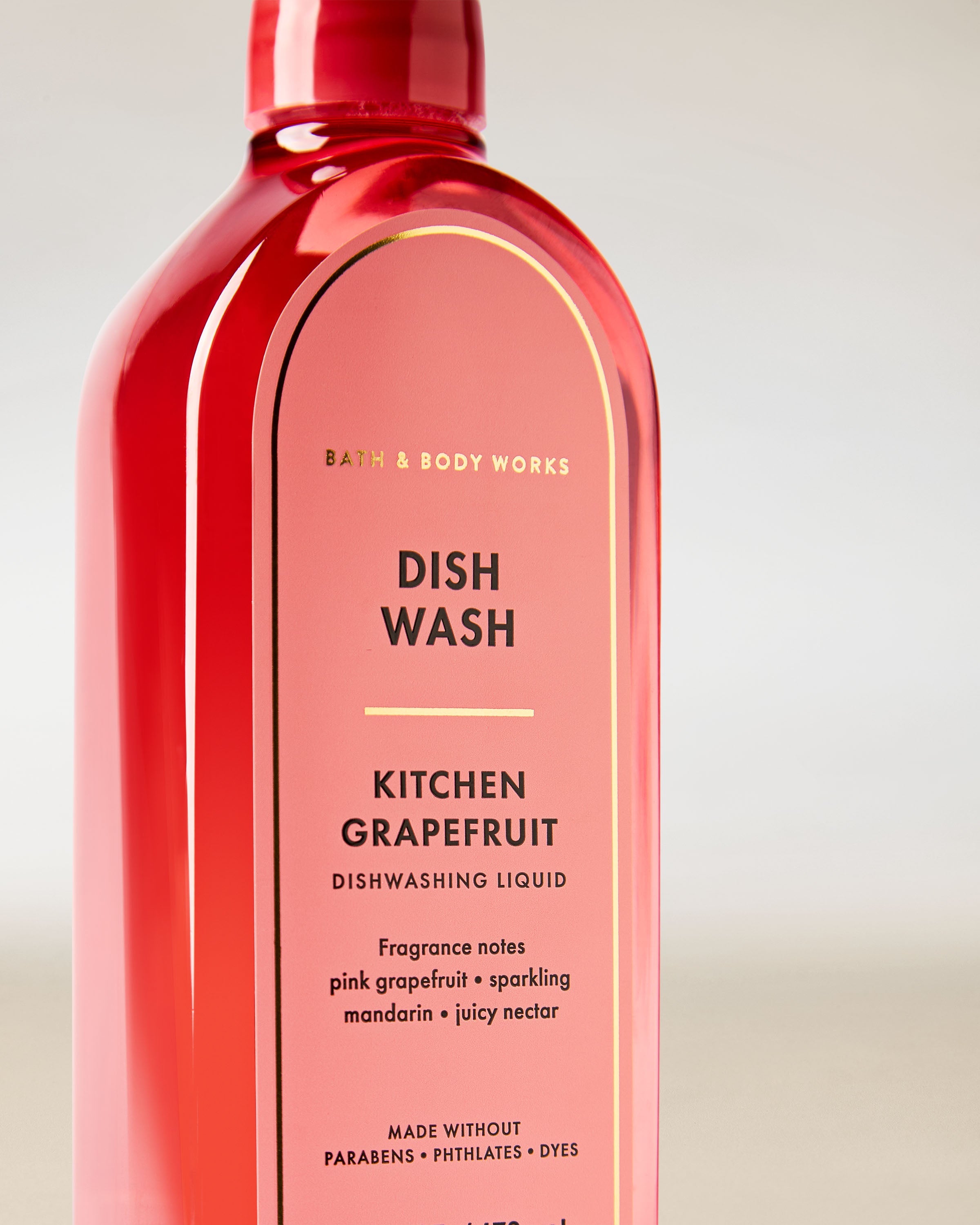 Kitchen Grapefruit Dish Wash