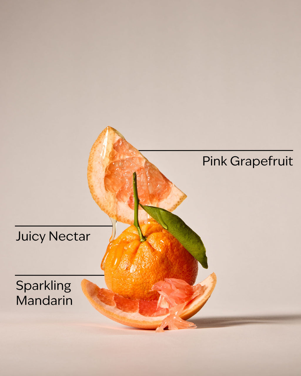 Kitchen Grapefruit Dish Wash