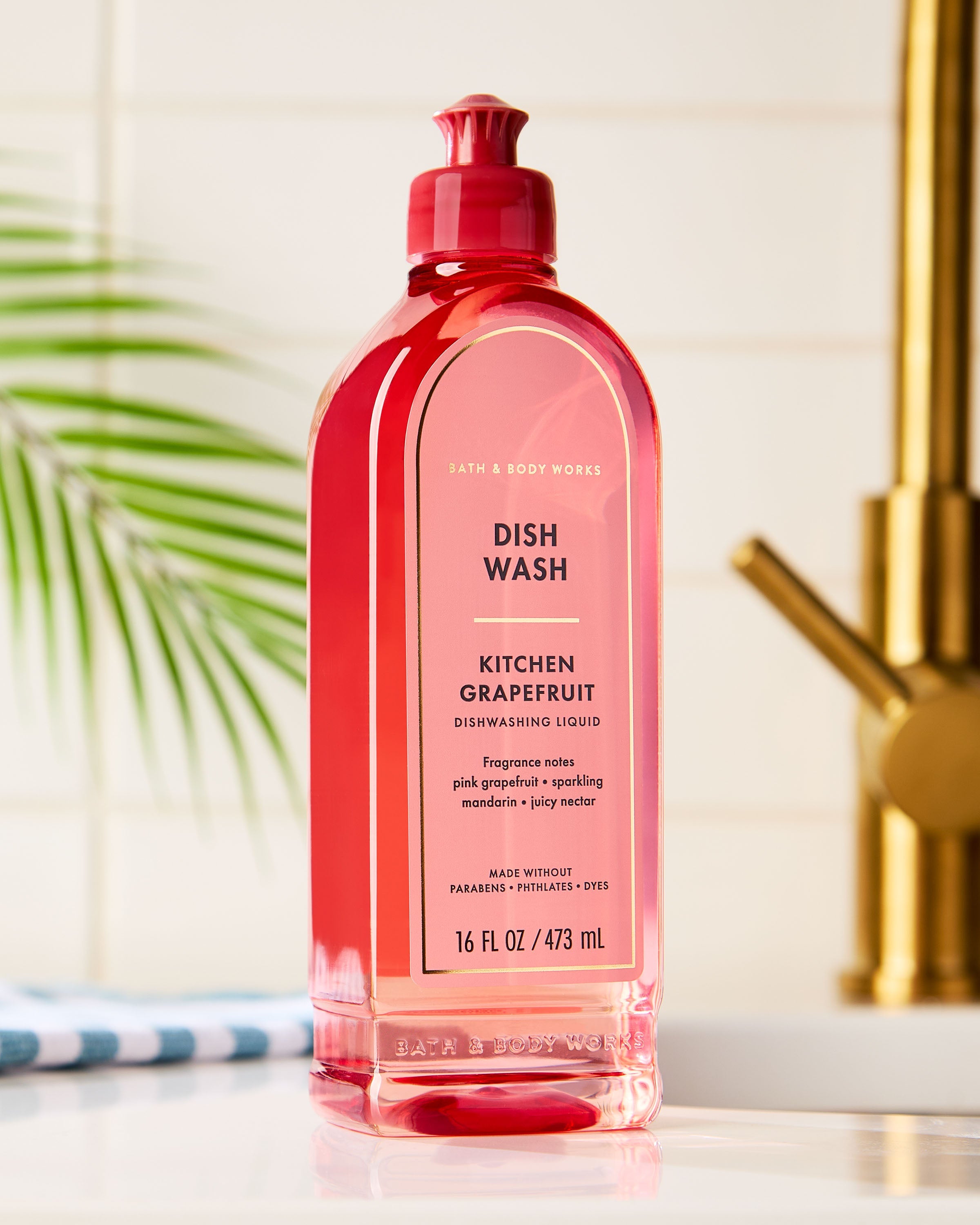 Kitchen Grapefruit Dish Wash