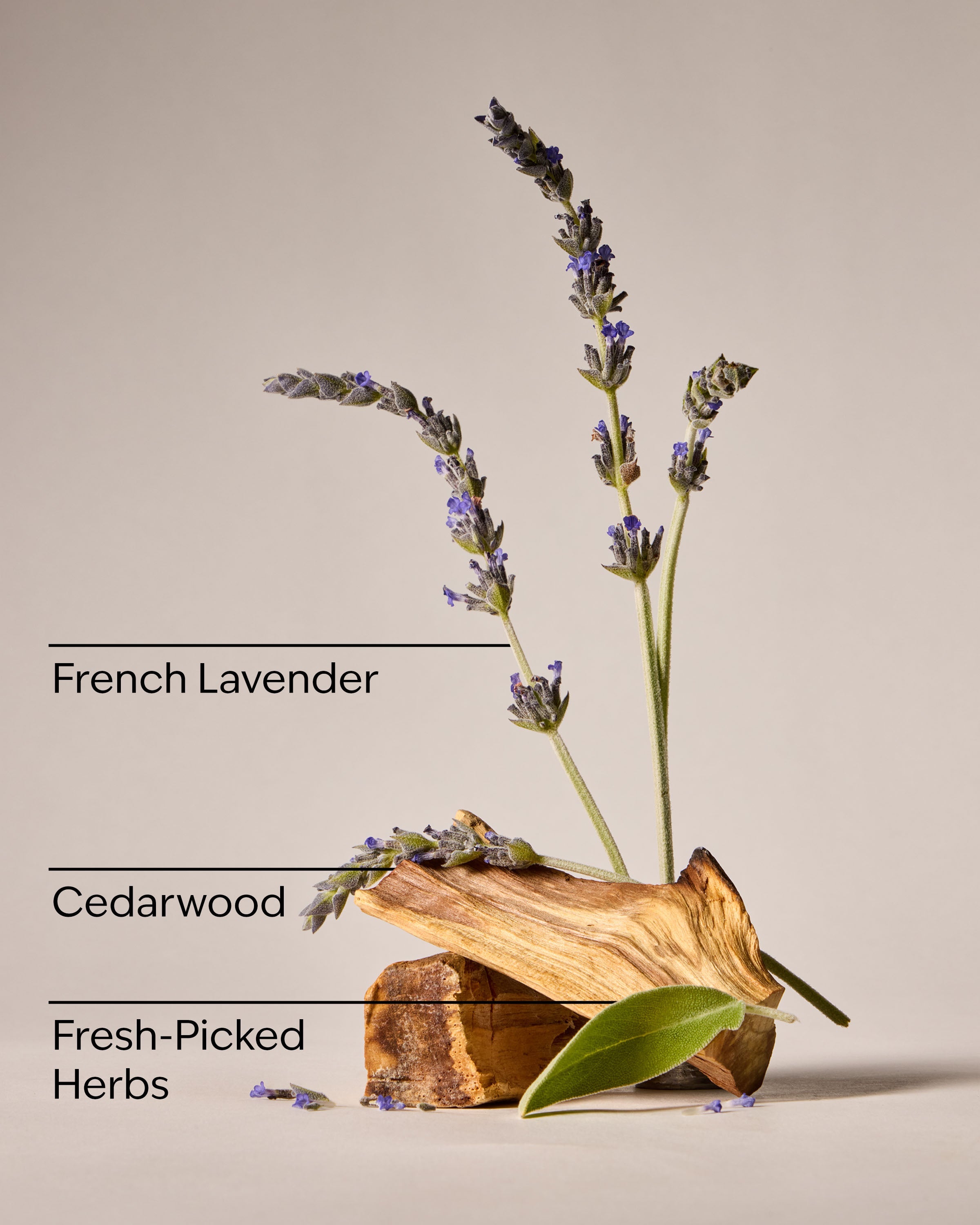 Kitchen Lavender Dish Wash