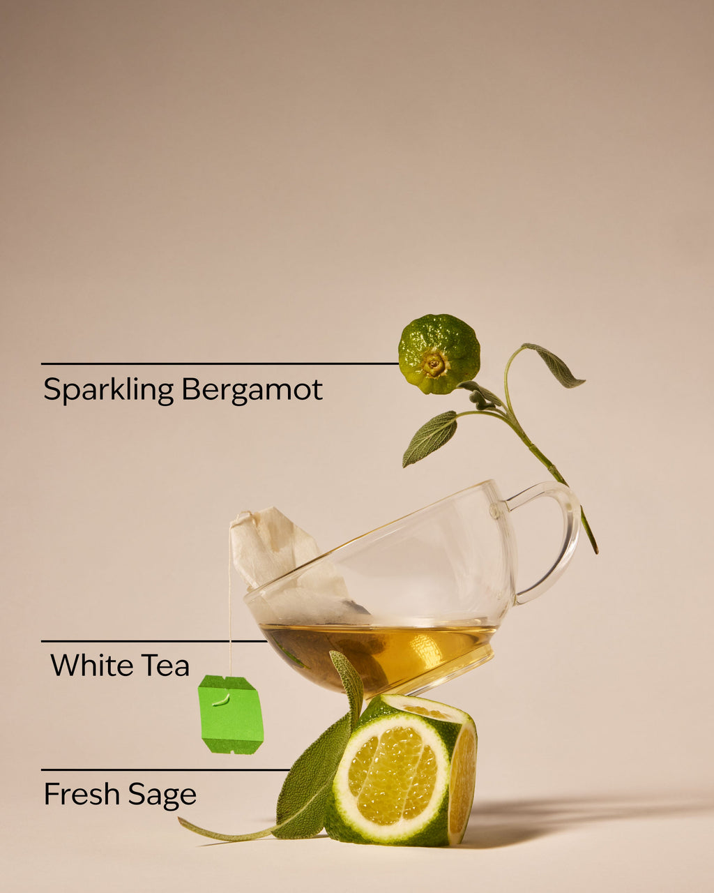 White Tea & Sage Dish Wash
