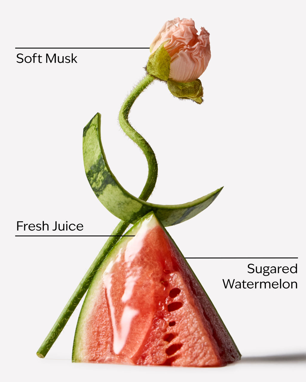 Watermelon Whirl Lip Oil