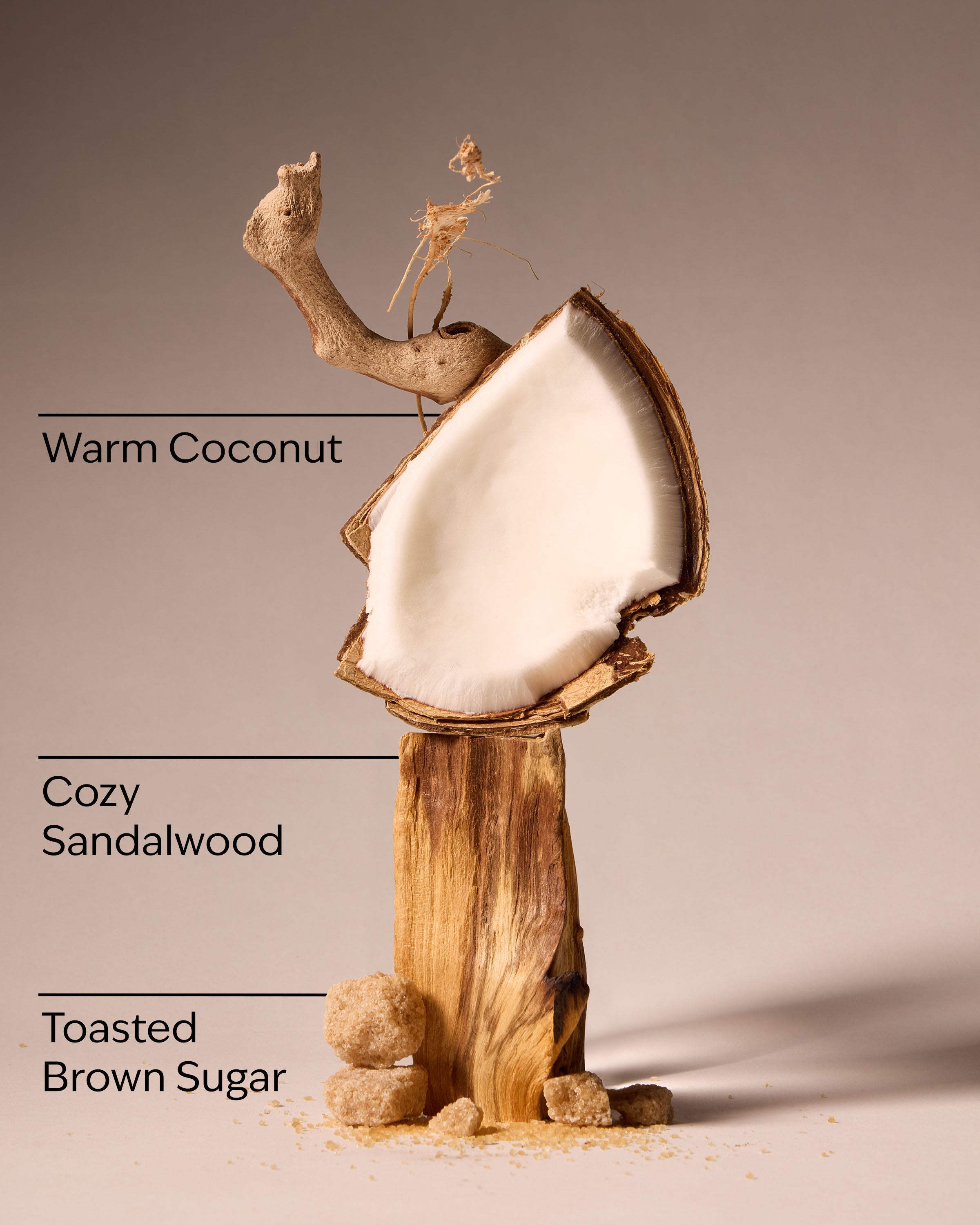 Brown Sugar Coconut Revitalizing Gel Hand Soap