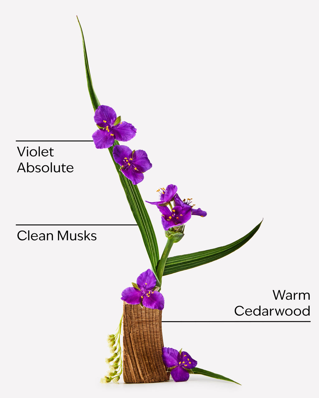 Very Violet Body Wash