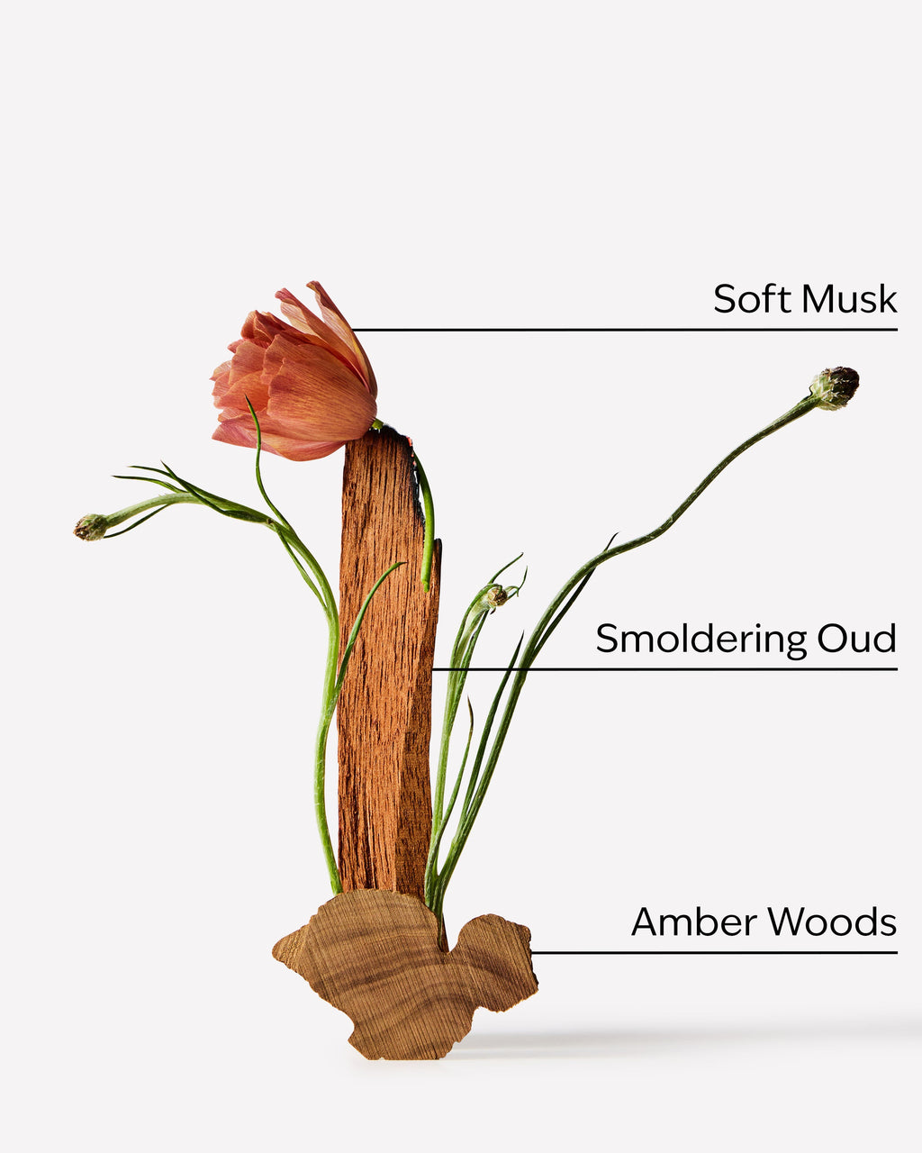 Oud Suede Fine Fragrance Mist
