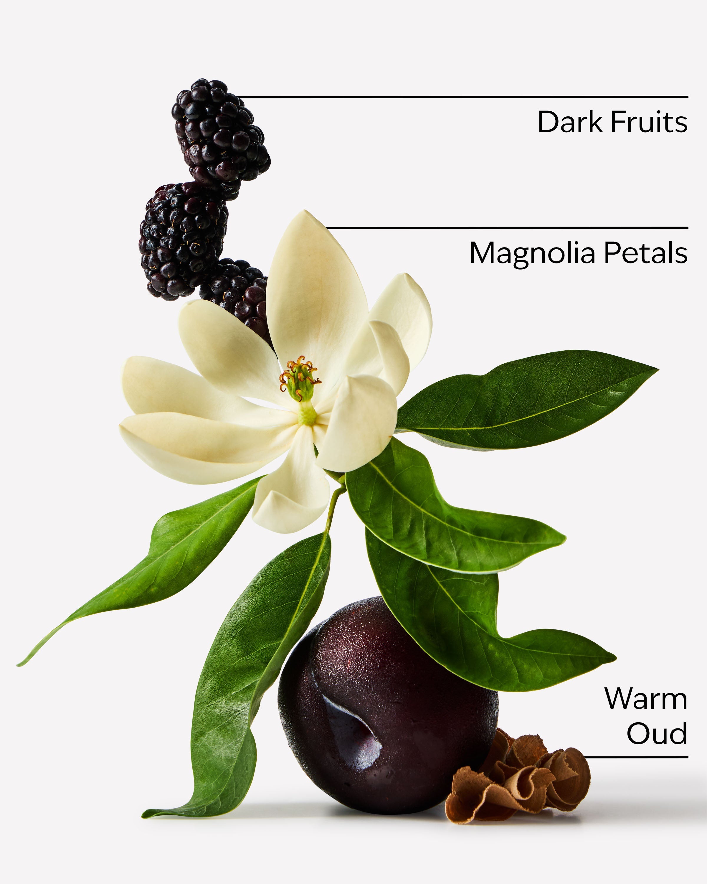 Oud Berry Fine Fragrance Mist