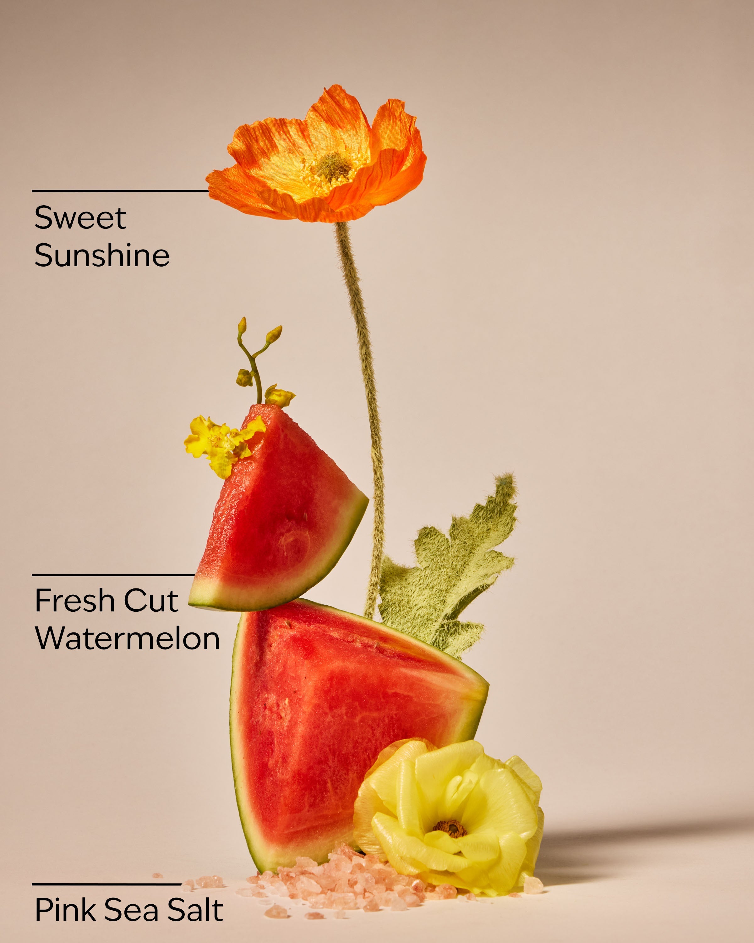 Fresh Watermelon PocketBac Hand Sanitizer