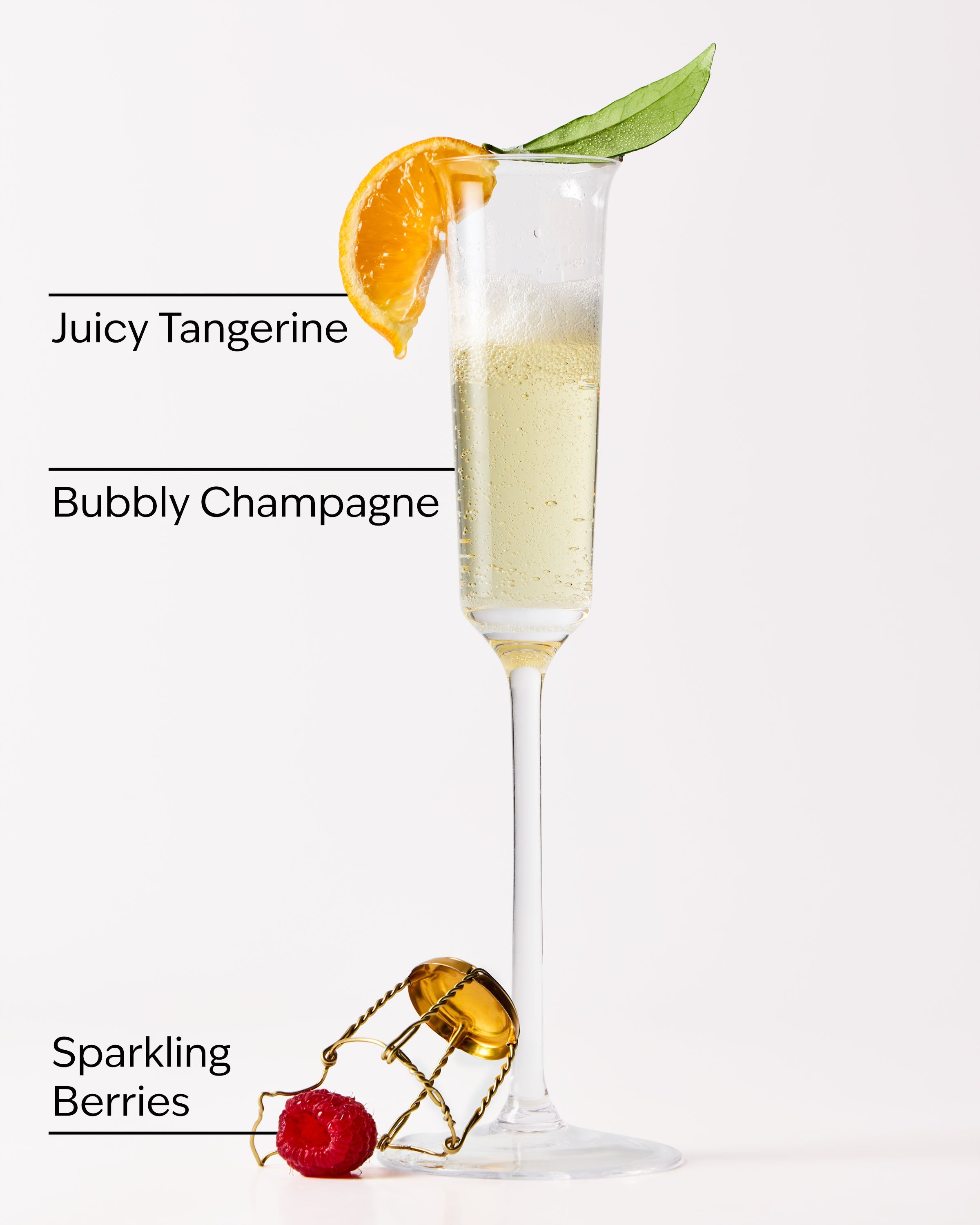 Champagne Toast Moisturizing PocketBac Hand Sanitizer