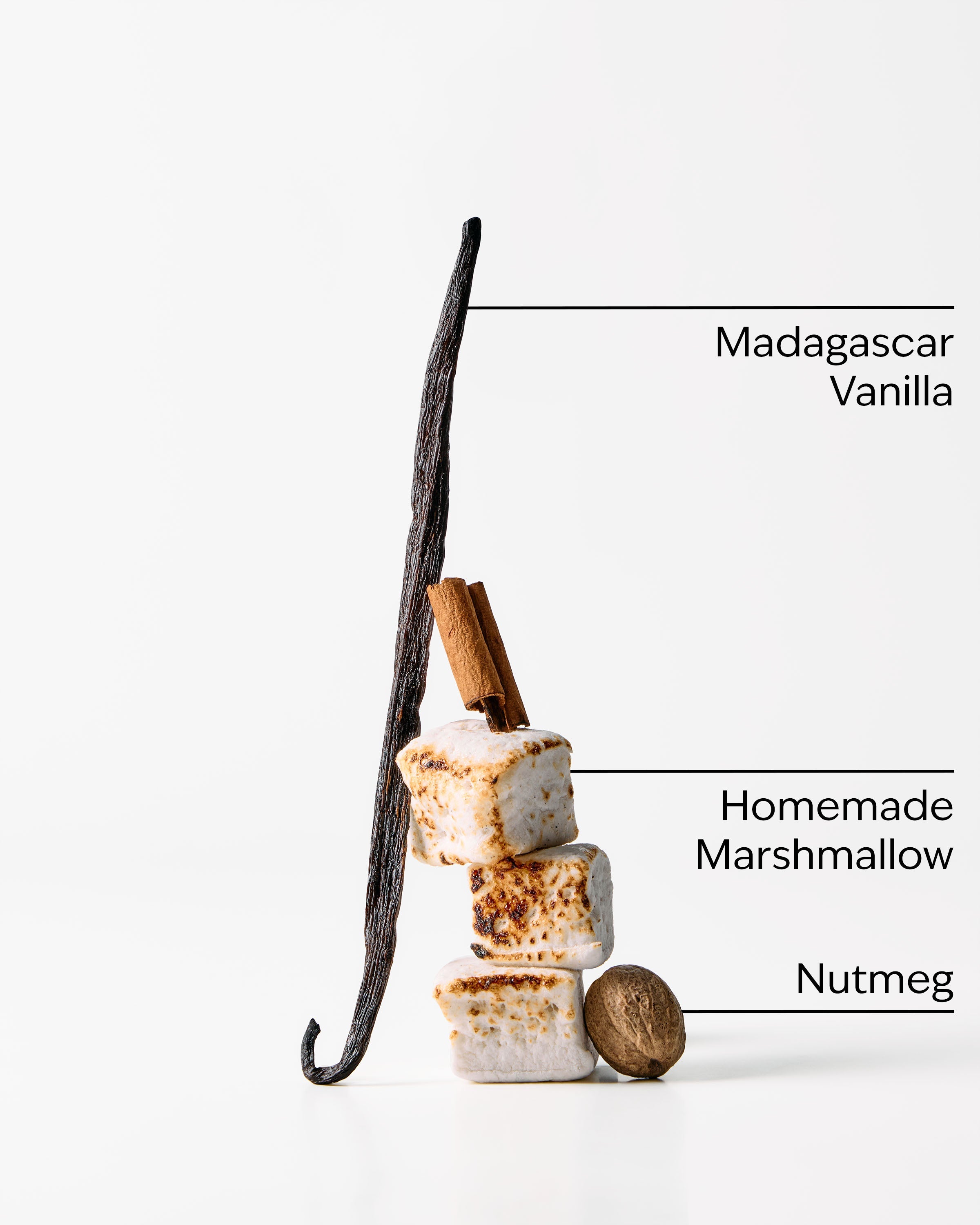 Vanilla Bean 3-Wick Candle