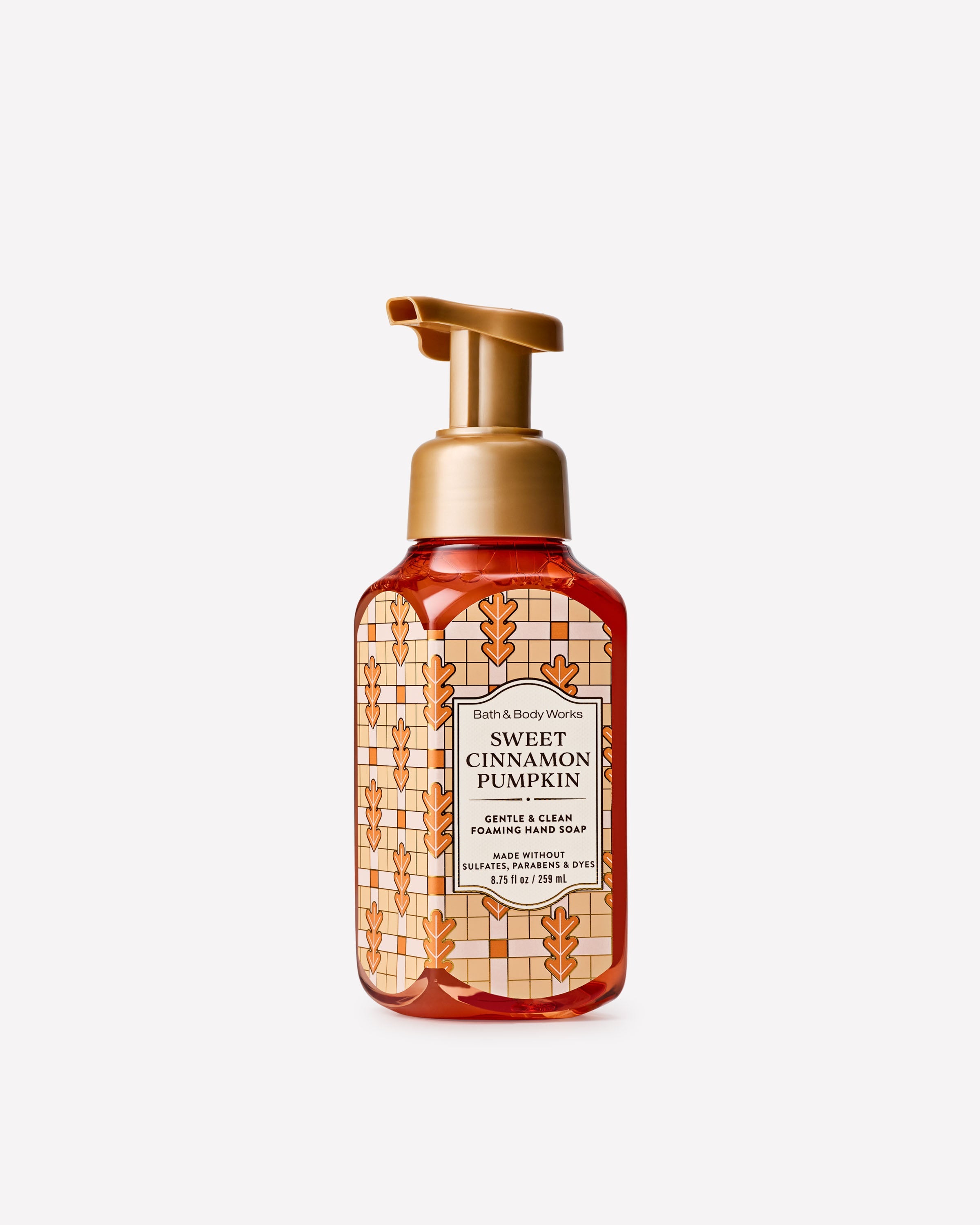 Sweet Cinnamon Pumpkin Gentle & Clean Foaming Hand Soap