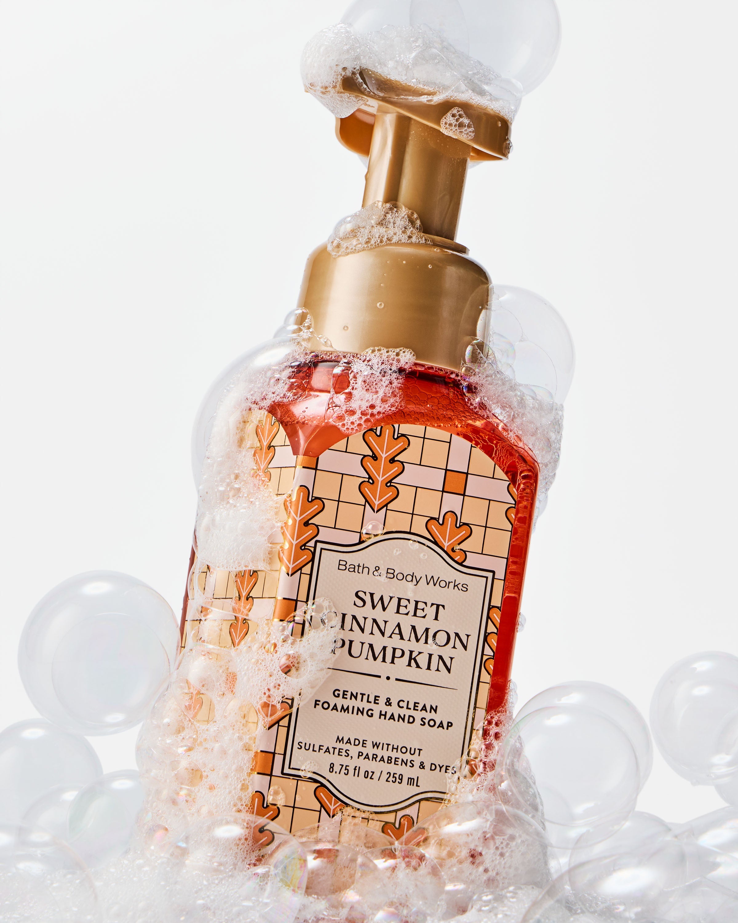 Sweet Cinnamon Pumpkin Gentle & Clean Foaming Hand Soap