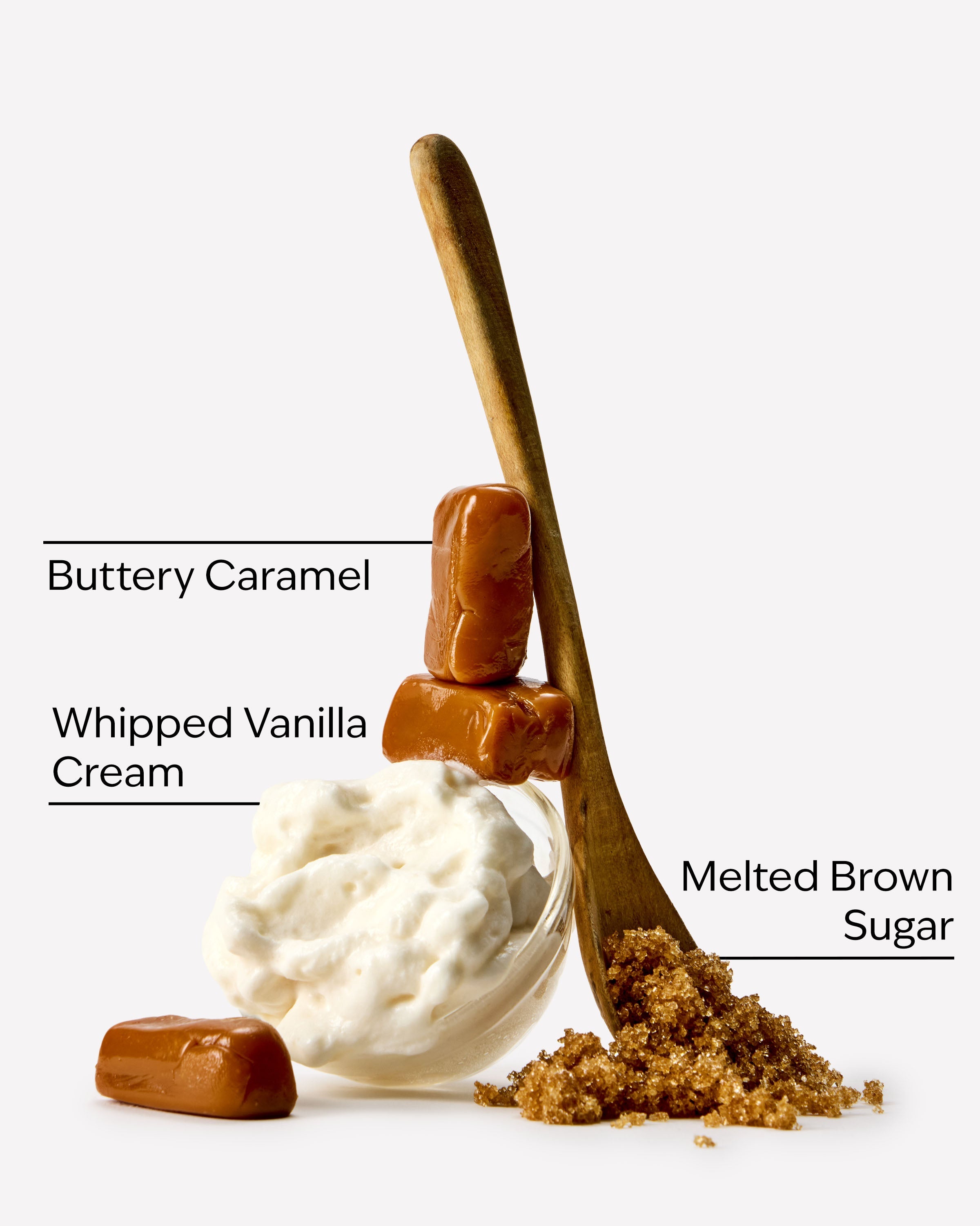 Caramel Vanilla Wallflowers Fragrance Refill