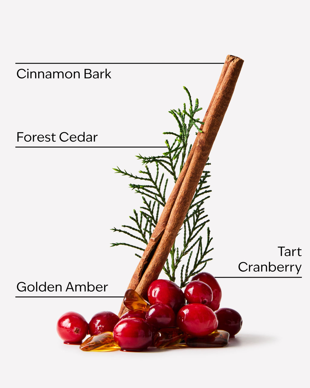 Cranberry Woods Wallflowers Refills 2-Pack